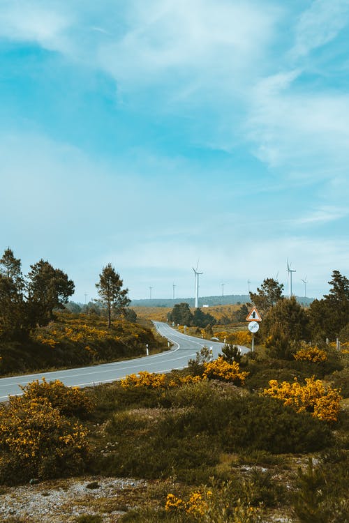 清明日對酒翻譯及賞析 清明日對酒翻譯及賞析