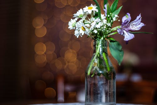 五年級日記拼樂高積木