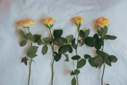 關(guān)于隨筆為題目的作文