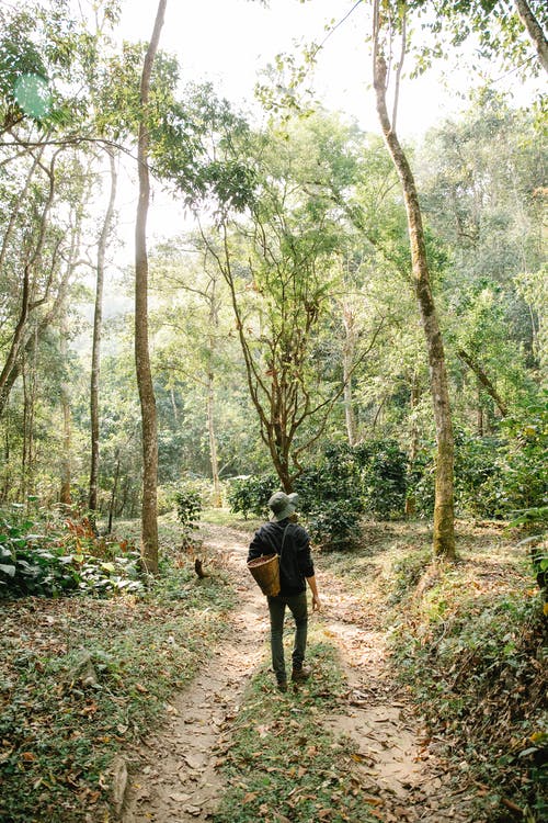 描寫春節(jié)的日記 描寫春節(jié)的日記