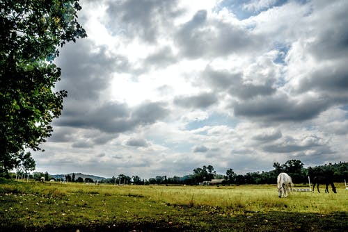 復(fù)生英明的君王小說趙如趙羽全章節(jié)閱讀