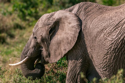 大雪快樂的祝福語集合38句
