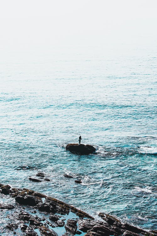 五年級敘事作文老媽的生活