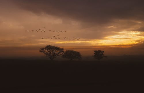 五年級(jí)想象作文未來的自己