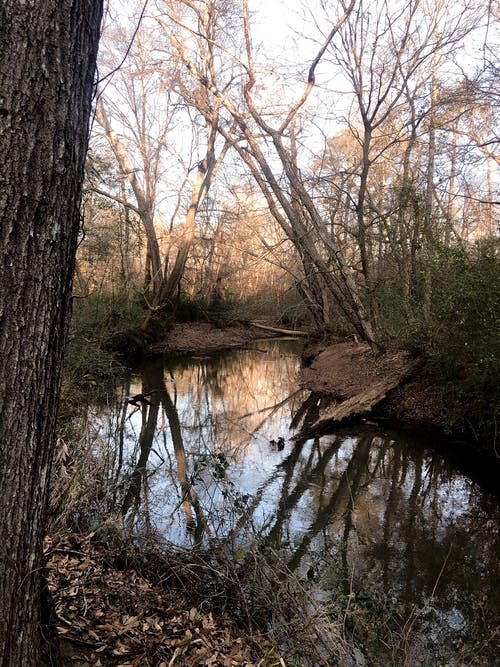 寫(xiě)作基礎(chǔ)：文無(wú)定法“出彩”有招 