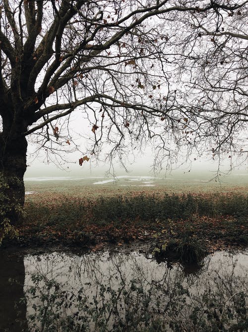 描寫喜愛大海美麗的詩歌