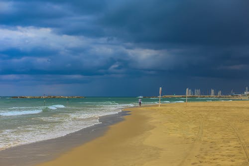 精選的情人節(jié)短語(yǔ)