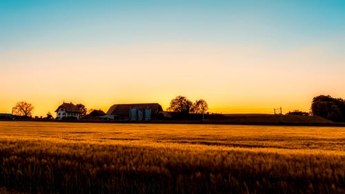 生活，一點(diǎn)糖就夠了