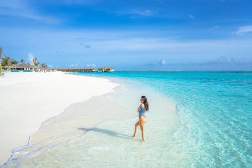 《賣柑者言》文言文翻譯