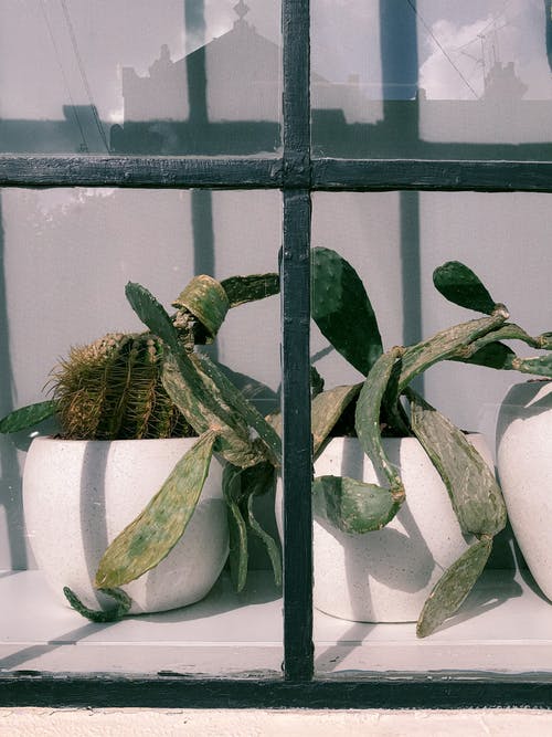 2020年暖心勞動(dòng)節(jié)祝福語(yǔ)53條