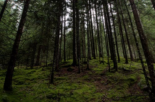 長(zhǎng)輩過(guò)生日祝福語(yǔ)