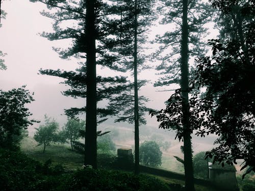 初中生寒假日記200字大全