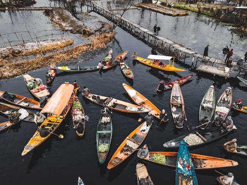 活板文言文翻譯