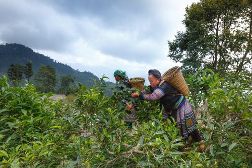 有關(guān)美文作文集錦八篇