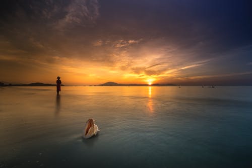 灰太狼語(yǔ)錄