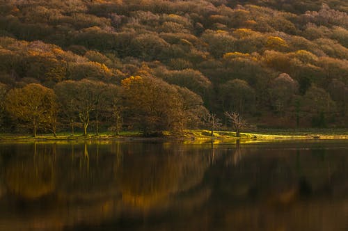 五年級(jí)敘事作文我的自畫(huà)像