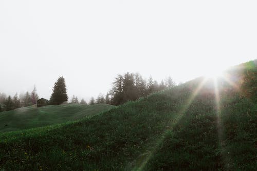 莊少的小孕妻又兇又甜小說(shuō)寵文顧挽莊浩辰搶先閱讀