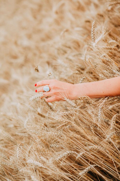 真龍殿小說(shuō)by落地呱呱叫蕭琰凌夢(mèng)溪章節(jié)閱讀