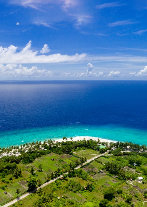 穿越凰女妖孽夫小說甜寵孟拂顏宮御完結(jié)版閱讀