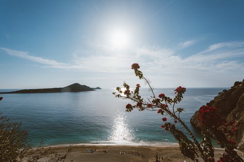 五年級(jí)寫(xiě)人作文菜市場(chǎng)老板