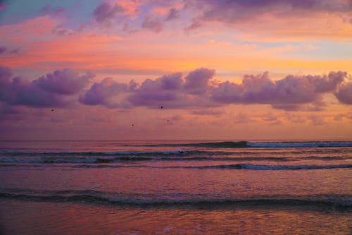 麻衣逆命小說無彈窗李魚蔣聽樓全文閱讀