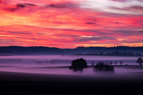 爽文龍魂武修小說林天唐心無彈窗閱讀