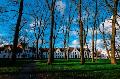 關(guān)于高中周記青春勵志范文6篇