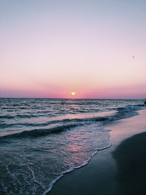 能干的玩不過(guò)會(huì)演的美文