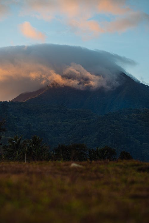 連載中帶領(lǐng)宗門闖天下小說常威燕子章節(jié)閱讀