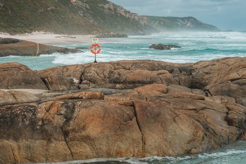 頭號相師小說重生朱亮林雨桐無刪減閱讀