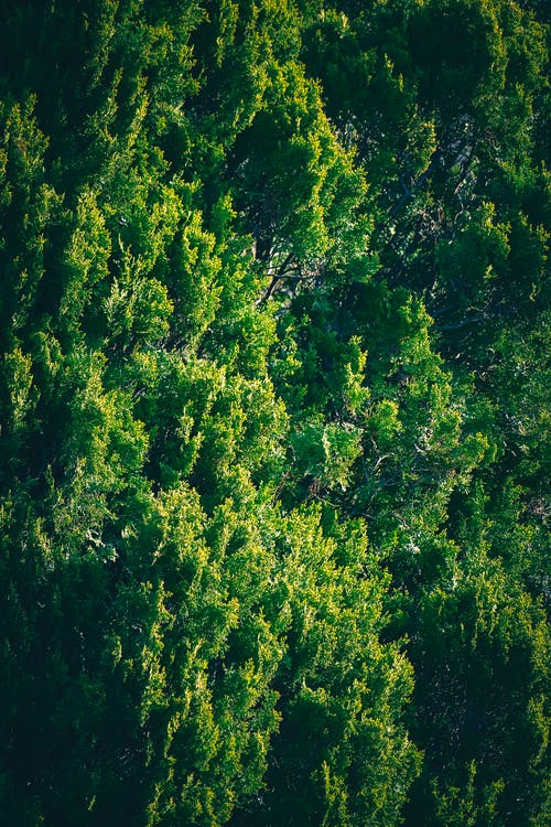 關(guān)于初中學(xué)生古詩詞學(xué)習(xí)現(xiàn)狀的調(diào)查報告 關(guān)于初中學(xué)生古詩詞學(xué)習(xí)現(xiàn)狀的調(diào)查報告