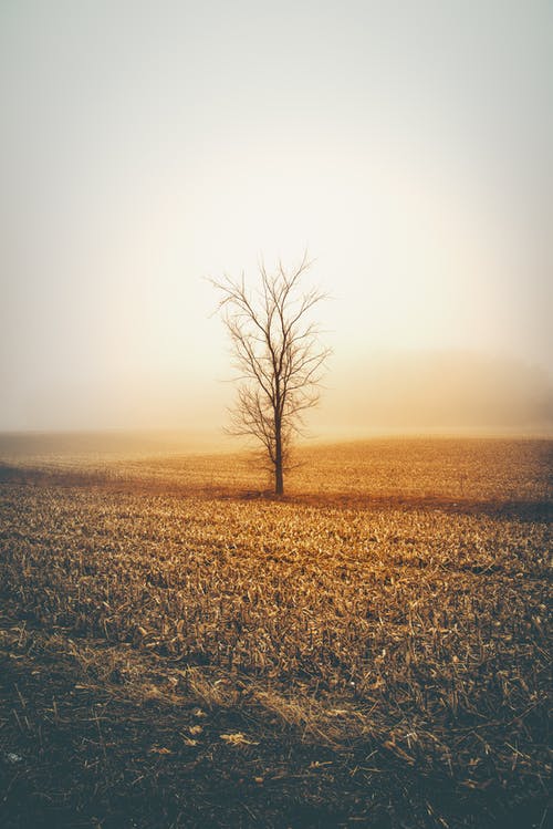 《山坡羊·潼關懷古》古詩賞析