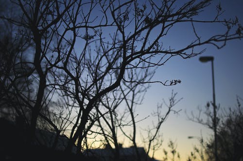 失戀療傷經(jīng)典語錄