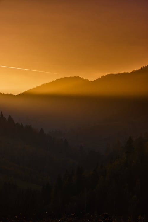 精選暖心元旦祝福語微信摘錄30條