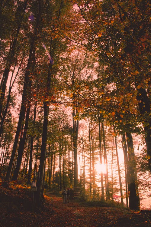 2021年通用生活哲理語句集錦76條