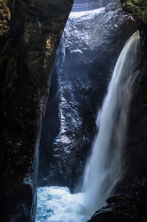 神級奶爸從荒島求生開始小說李東來李姍姍無彈窗閱讀
