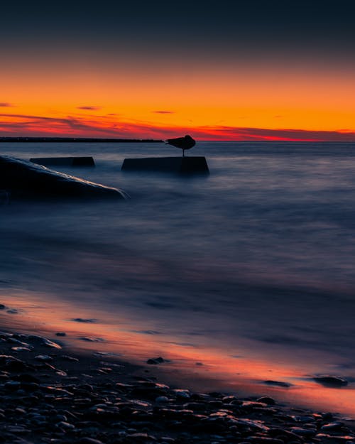 小學(xué)生寒假日記200字