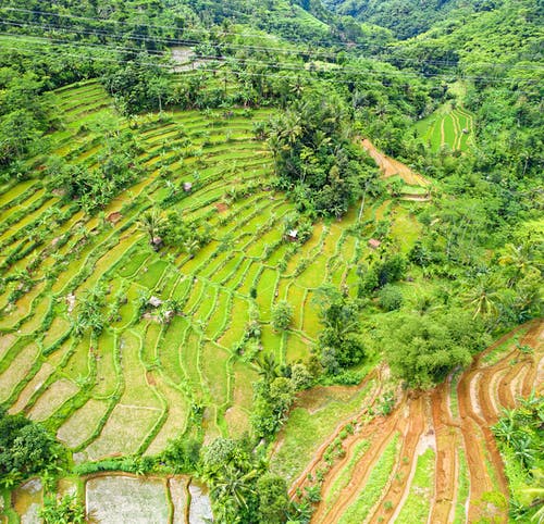 關(guān)于我最喜歡的首古詩作文300字3篇