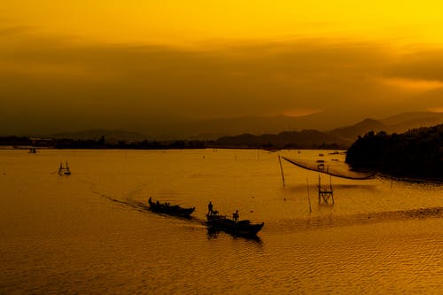 你的孤獨(dú)雖敗猶榮經(jīng)典語(yǔ)錄