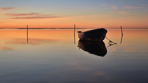 神龍殿至尊龍王聶風(fēng)和七個姐姐聶風(fēng)秋沐橙康夢小說章節(jié)閱讀