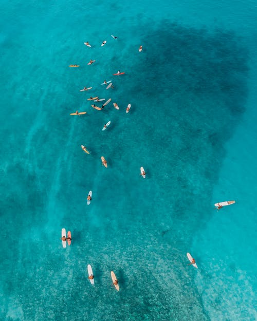 情人節(jié)使用的祝福語祝賀語