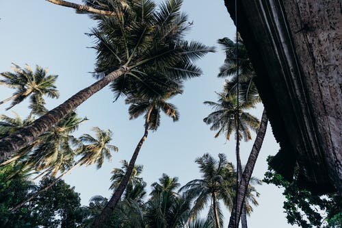 新婚美好祝愿祝福語