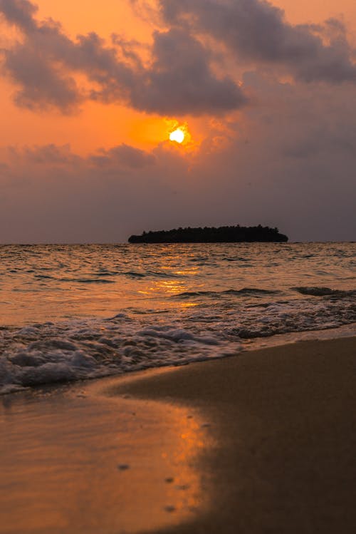 鑒寶神婿小說無彈窗高彧清寧婉茹章節(jié)閱讀