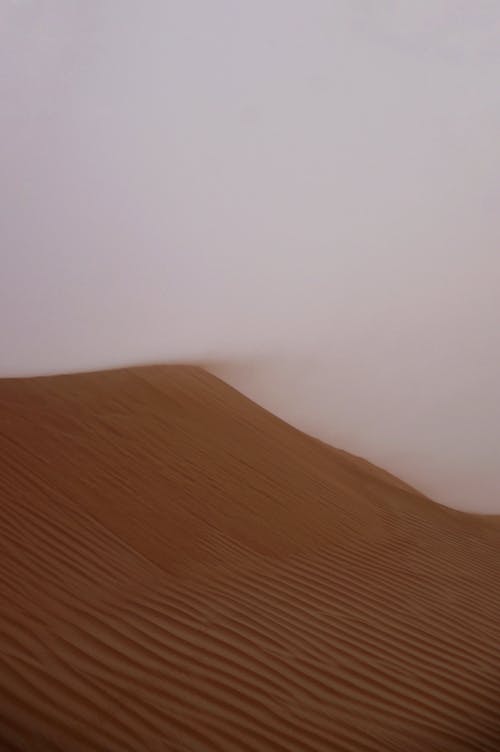 monstar中經(jīng)典臺(tái)詞