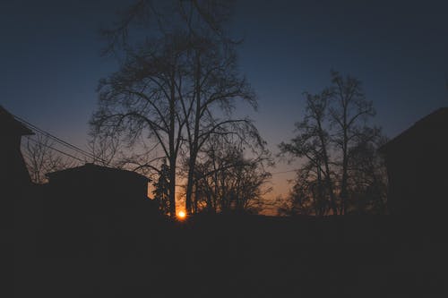 農(nóng)女有蠱病嬌相公得養(yǎng)著小說穿越杜紫蘇元徽在線閱讀 農(nóng)女有蠱病嬌相公得養(yǎng)著小說穿越杜紫蘇元徽在線閱讀