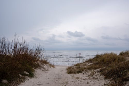 【精品】開學第一天日記范文集錦7篇