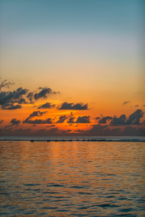 我被怪物養(yǎng)大奇幻小說主角鬼難安無刪減版閱讀