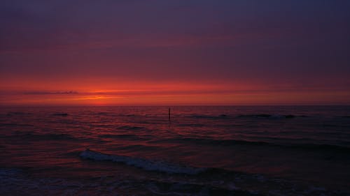 2020年精選優(yōu)美文藝句子錦集90條