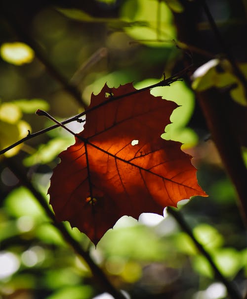 2020年谷雨祝福問候語匯總36句 2020年谷雨祝福問候語匯總36句