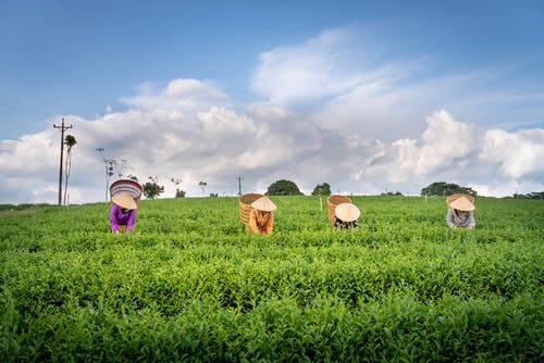 木蘭詩(shī)擴(kuò)寫文言文